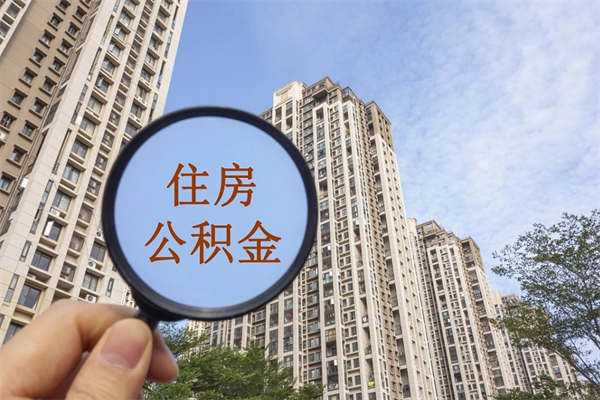 天长哈尔滨住房公积金提取（天长哈尔滨住房公积金提取代办）